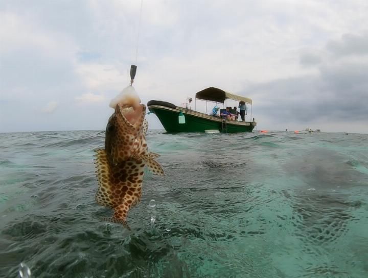 我心中向往的天堂，西沙群岛潜水、海钓、露营