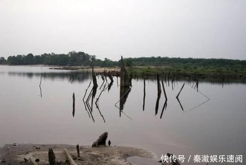  #拼命#以美丽凶悍著称的孔雀鲈，遇见鱼饵拼命追，想钓点别的鱼都困难