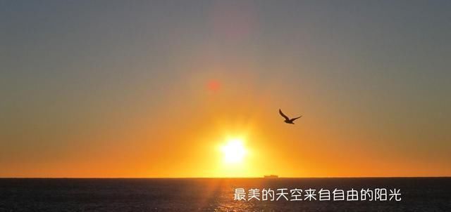 「村上春树」不要再为生活苦恼了35名巨匠名人引文教你如何解脱