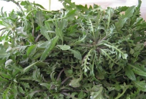  [地上]乡下一种野草，长在地上不起眼，农民常拿来喂猪，现在成