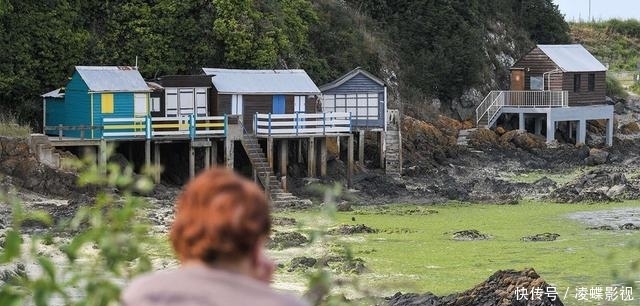 ''神秘绿色粘液占领法国海滩，几秒内就能将人杀死，气候形势严峻