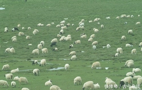 韩红歌里唱的那条通向青藏高原的天路现在怎么样了？领略天路风采