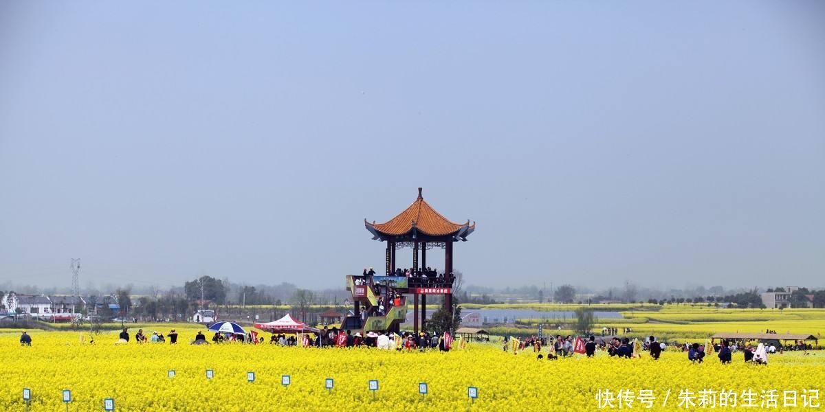  「高铁」沿江高铁终于要建了, 湖北省3个城市最受益!