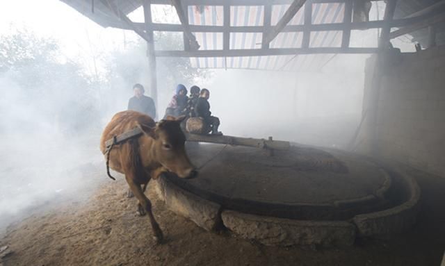 找一个张家界当地导游，不跟团游遍张家界核心精华景点