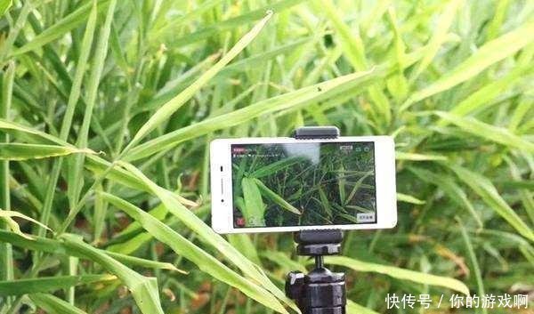  朝阳@农民注意农村出现3个“朝阳行业”，抓住机会赚得要比打工