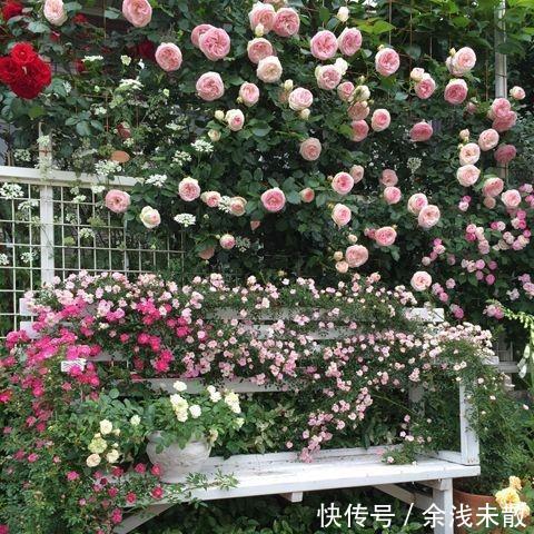 退休后，到乡下建个这样的小院，悠然到老！