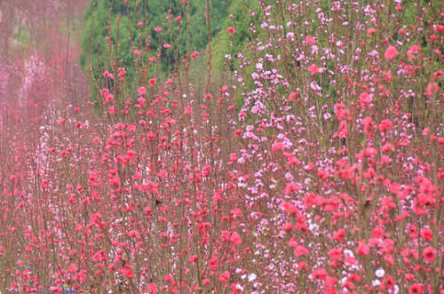  「紧追」四川最受期望的一座城市，已经超越宜宾，在紧追绵阳，