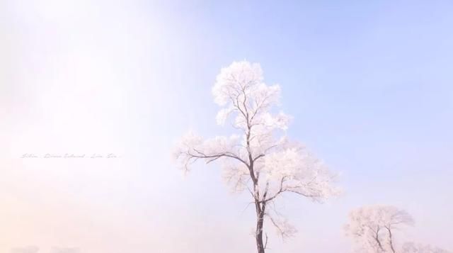 女人不能错过的8次旅行,每年去一个