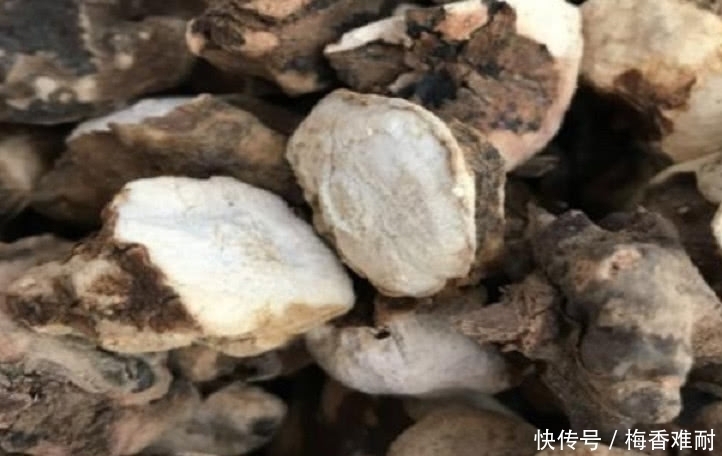  「小伙」农村小伙上山挖土茯苓，一天挖20斤日收入600元，其价值