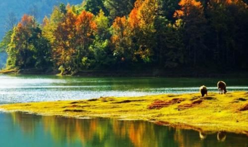 我国面积最大“枫叶景区”！比香山大180倍？是中国的阿尔卑斯！