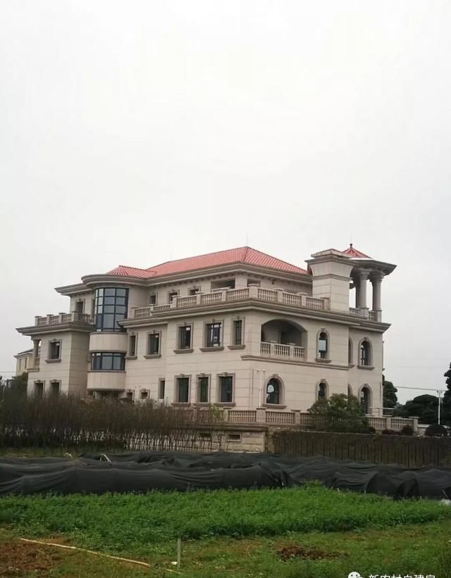  [有钱]7款农村别墅实拍, 第4款像宫殿, 有钱真的可以为所欲为