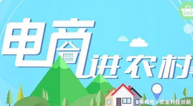 我国农村电子商务发展形势与走势