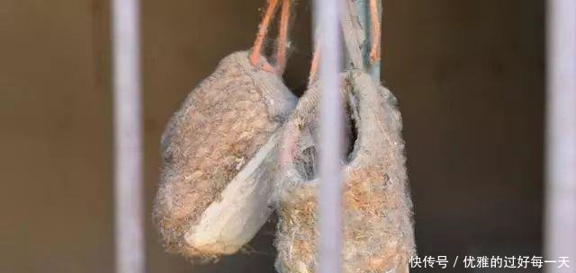 乡下过去的老物件，三十岁以下的农村人已经大半不认识啦！