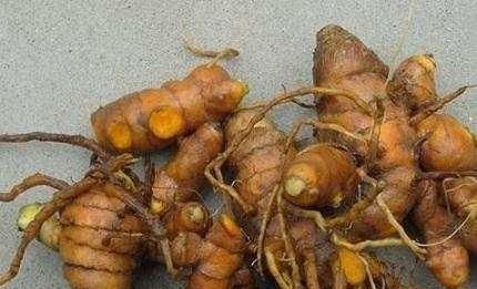  毛钱@跌下神坛的农产品，曾卖到2块钱一斤，如今几毛钱一斤没人