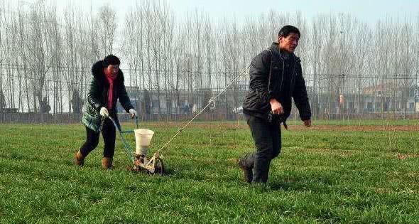 未来5年，这3个小生意会成为“香饽饽”，有本钱的农民可以考虑