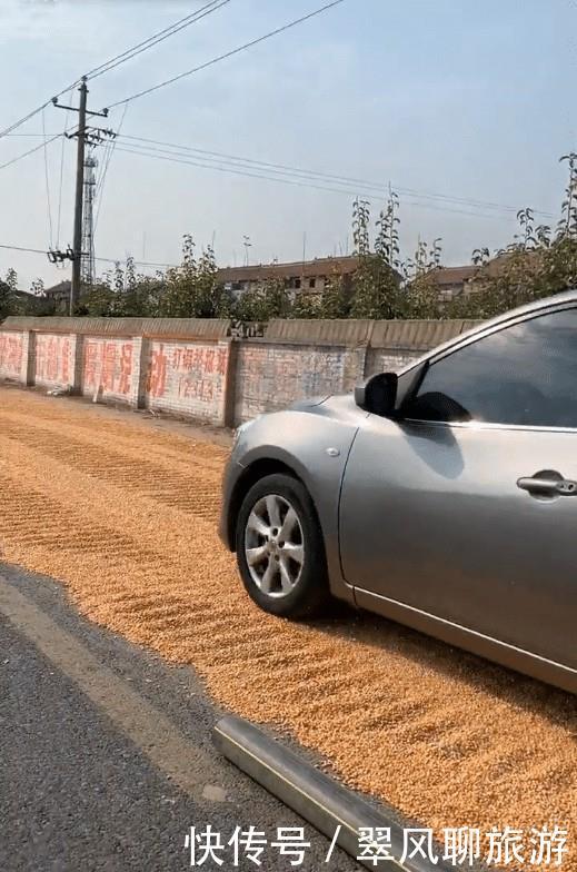  「玉米」河南焦作：村民公路铺满玉米，行驶车辆不断通过，快碾
