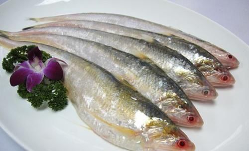  【随处可见】以前这种鱼在河里随处可见，20多年价格飙升上万元