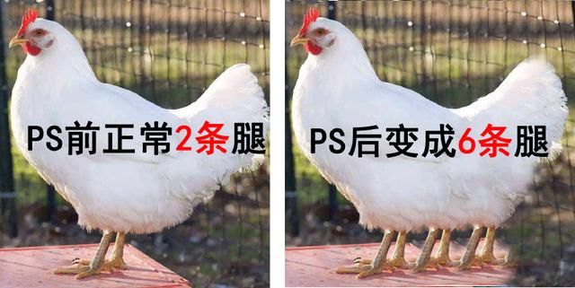 造谣者的3个谎言，你相信过吗？网友：如果不辟谣，还真容易上当