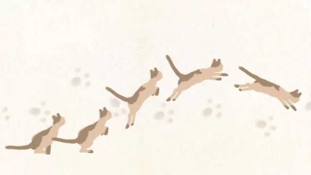  对自己：蔡澜：老了，不如任性生活