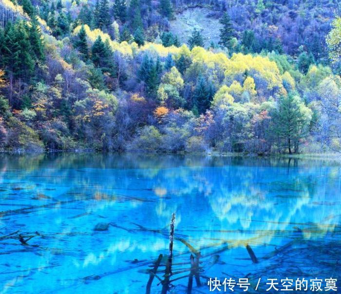 第一次去九寨沟要先看这篇!旅游攻略大全,教你去九寨沟轻松游