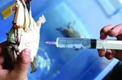 辟谣!!!盘点水产谣言，相信你就输了!