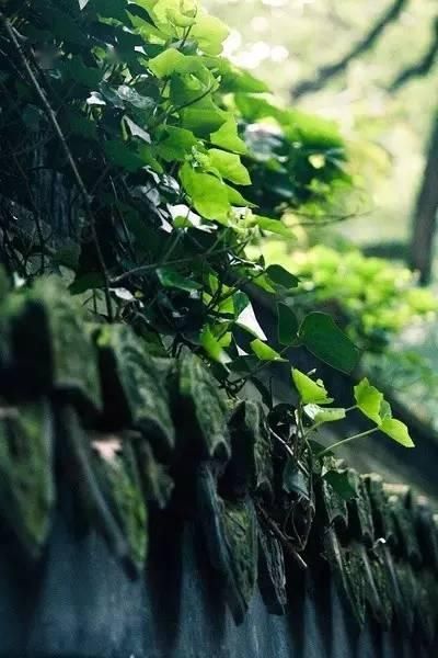  心灵后花园|他是中国历史上最文艺的皇帝，字画双绝，连造的园林都美传千古