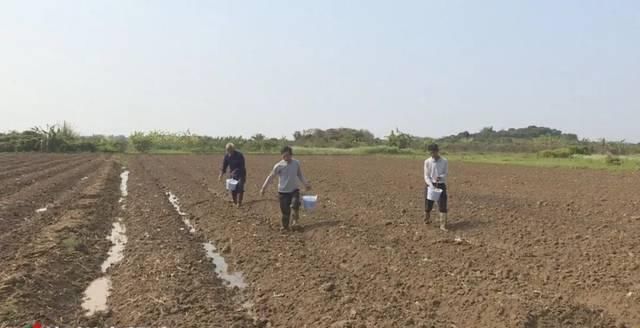  【铁铺镇坎下村】土地流转出效益乡村振兴有活力