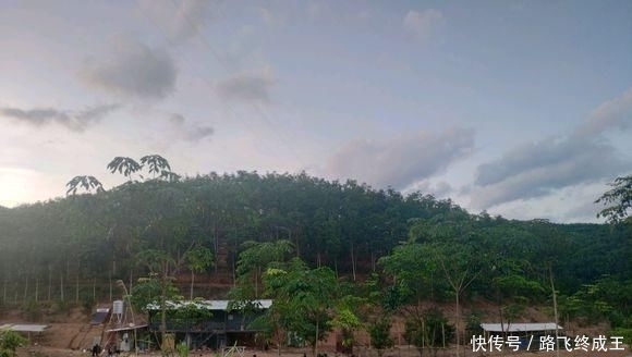  「没想到」回乡做土鸡养殖，十有八九会亏本？网友：没想到这么