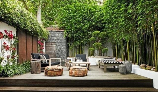 庭院竹子50张图告诉你，花园里种竹子有多高大上，气质瞬间提升