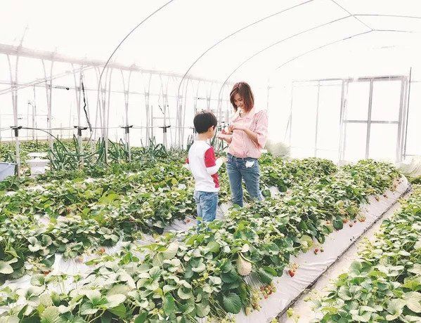 服气| 30+照样美若少女!离婚带娃的她凭啥能做"富豪杀手&quo