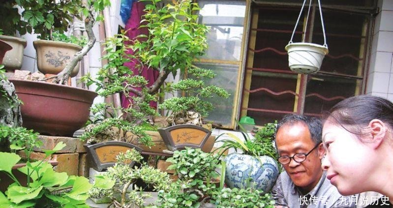 『盆土』别浇水了,花都是被你浇死的!老园丁教你几招,家里花草轻松爆盆