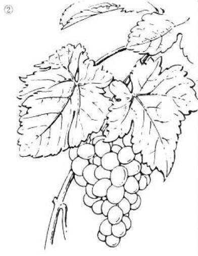 绘画基础教程,这个特别适合新手入门,素描技法