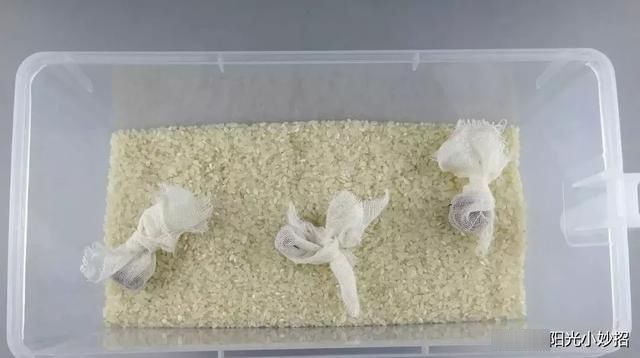  实用：天气转热,大米和面粉不生虫的储存法!很实用