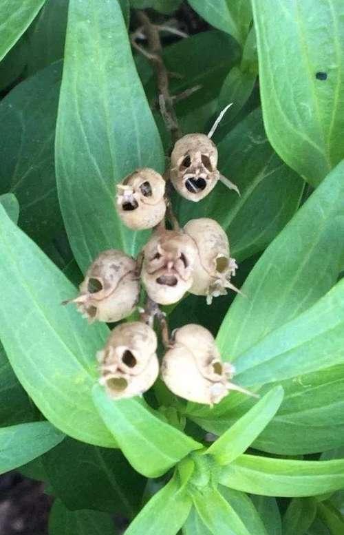 20张不可思议的照片，证明大自然无所不能！