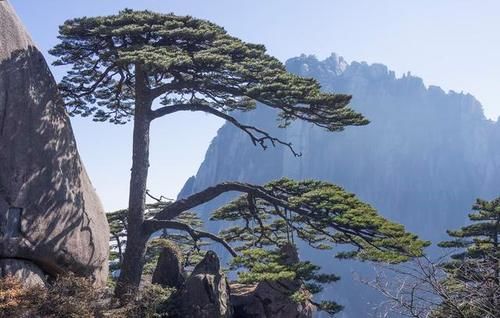 盘点中国最美几大名山！华山意外落榜，最美的山却鲜为人知