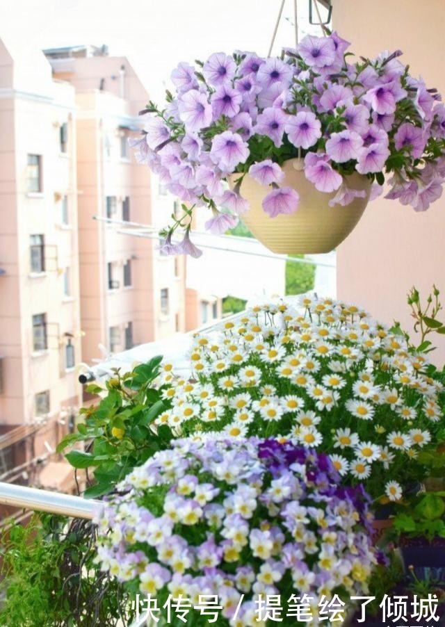 #不到#不到1平方的窗台,被她养成小花园,比院子还美!