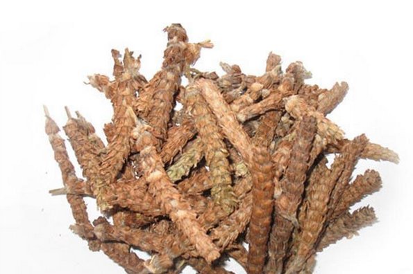  夏枯草|昔日农村很常见的1种药材，现野生不多见，农民地里却有