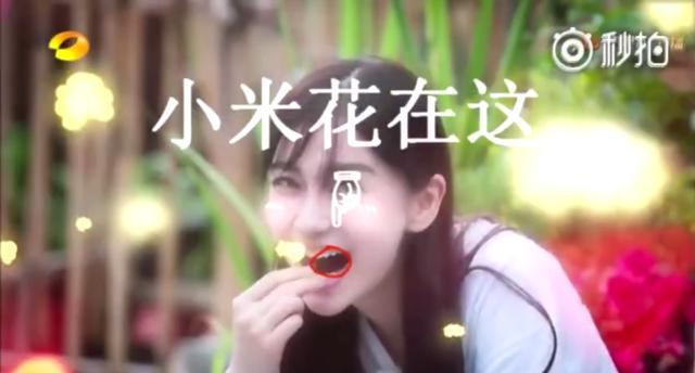 baby假吃是真的假的细节图曝光 向往的生活回应网友也颇为感人