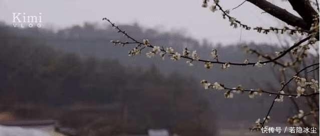 『治愈』辞职回乡下种菜的韩国“李子柒”不出镜，却治愈200万人