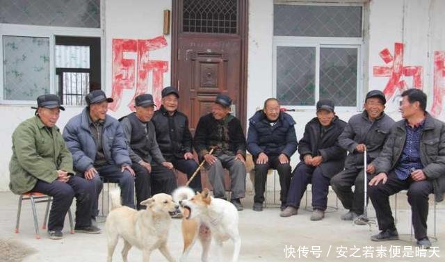 未来5年，农村3个高薪且体面的工作急需人，有想法的农民不妨尝试