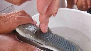  『男子』男子出海垂钓, 钓到一怪鱼, 细看之后扔回海中