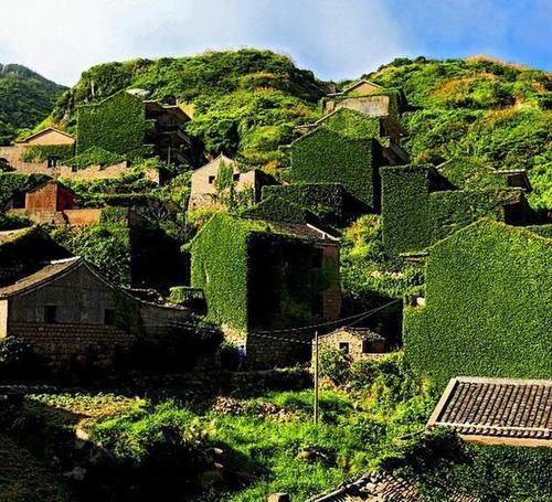 这才是人类消失后的真实世界,和你在电影里看到的完全不一样!