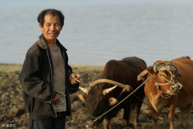 农村人都知道，这4大难题让我们不幸福！