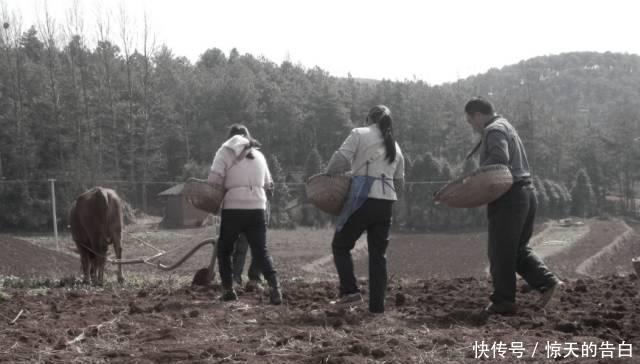 三十年前的贵州农村，有你的老家、你的根！