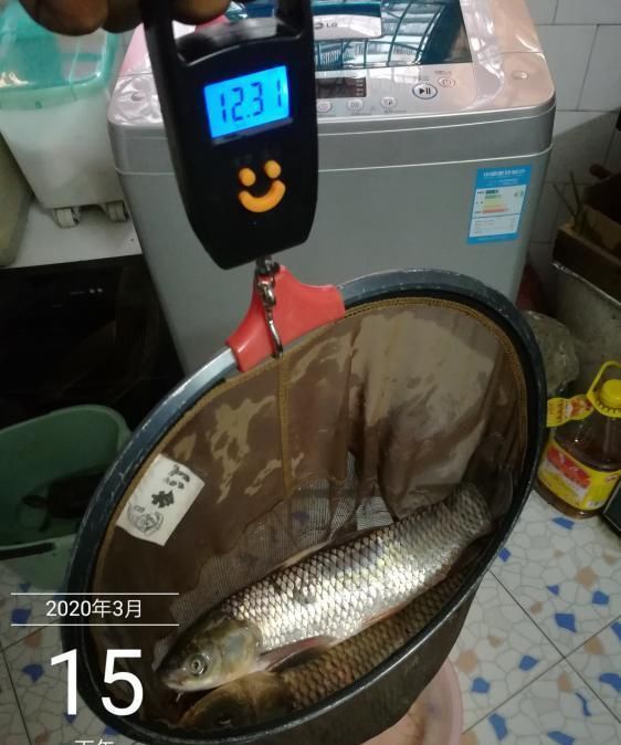  夏季■夏季钓鲤鱼的几大诀窍！一般人学不来，用了十年 至今依然奏效