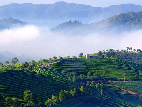 云南面积最大的城市，人口总量仅261万人，却比两个丽江还要大