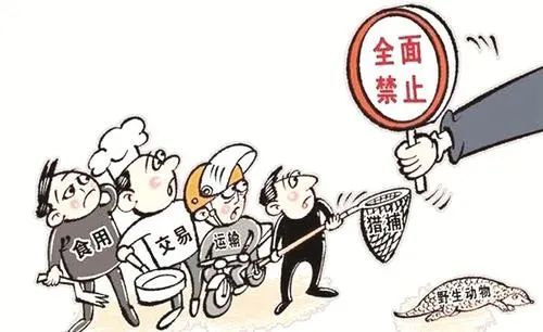  西安：西安全面禁止非法猎捕、交易、食用野生动物！