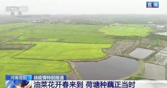  『放松』防疫不放松 春耕不误时