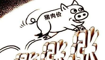  [猪瘟]一会禁止养猪，一会又鼓励养猪！猪瘟不可怕，怕就怕专家