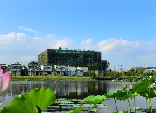 广东这个区将成最大赢家，贯穿高速扩建8车道，未来发展势不可挡